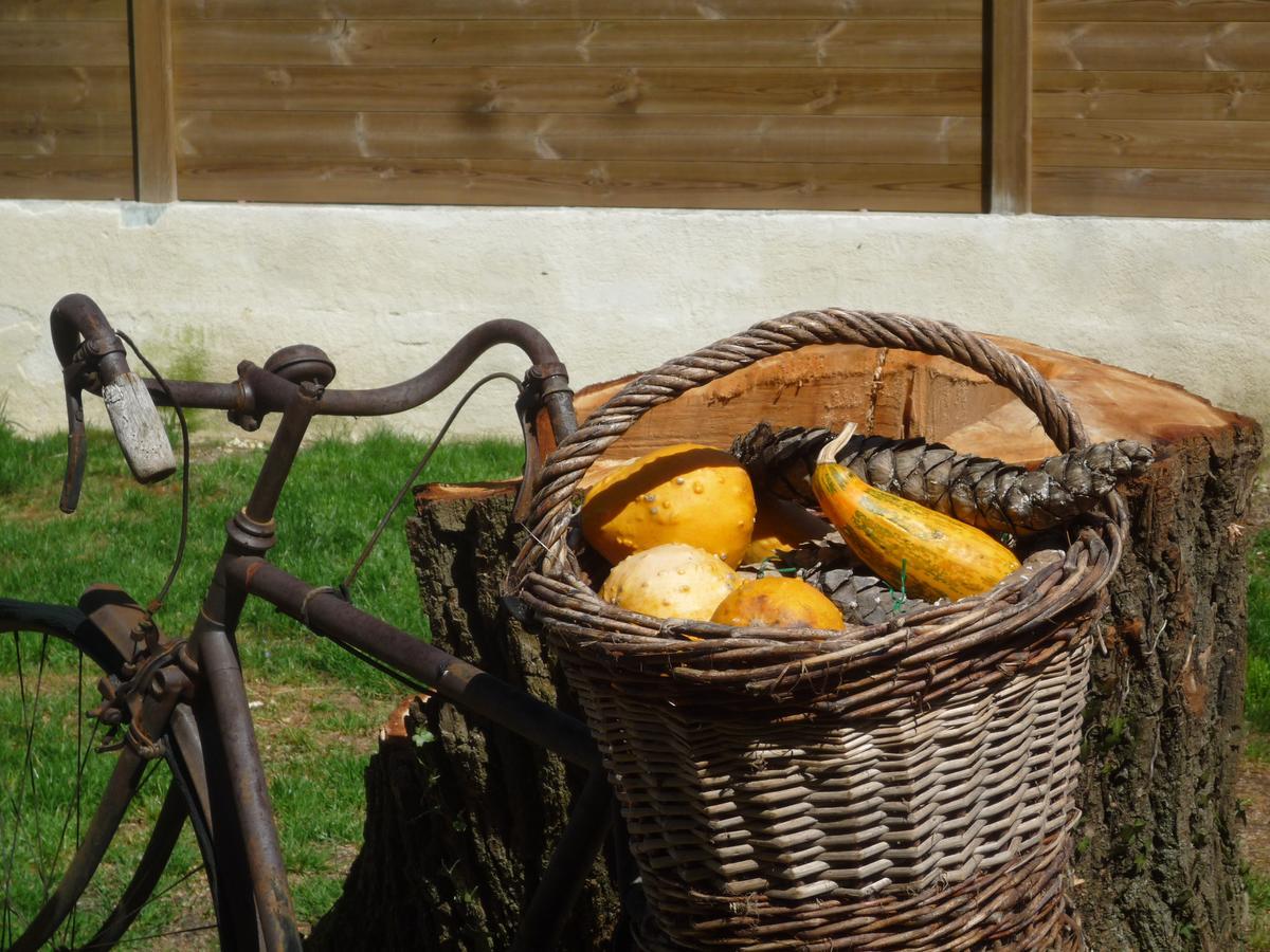 Le Relais Du Grand Logis Bed & Breakfast Civrieux Exterior photo