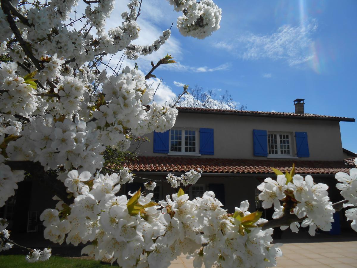 Le Relais Du Grand Logis Bed & Breakfast Civrieux Exterior photo